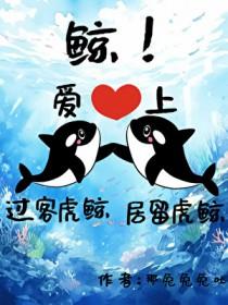 虎鲸爱人类