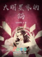 明星的猫咪