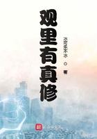 观内有真修