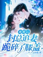封总追妻跪碎了膝盖