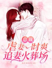 总裁虐恋追妻
