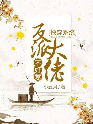 快穿系统反派大佬不好惹百度