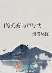 综英美与声与共TXT奇书网