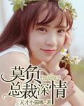 情深不负总裁宠上天白轻尘