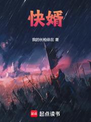 快婿笔趣阁免费