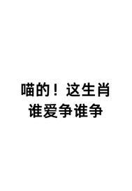 喵代表什么生肖