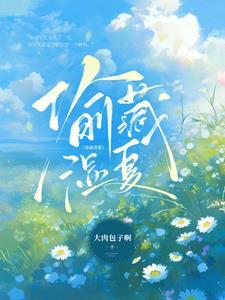 偷藏湿夏大结局