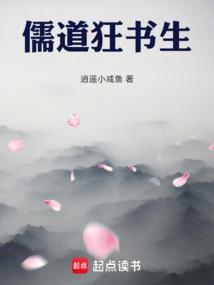儒道狂书生无防盗