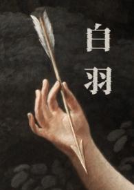 白羽全文免费阅读