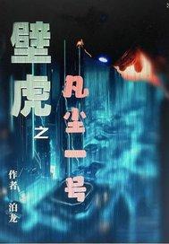 壁尘怎么样