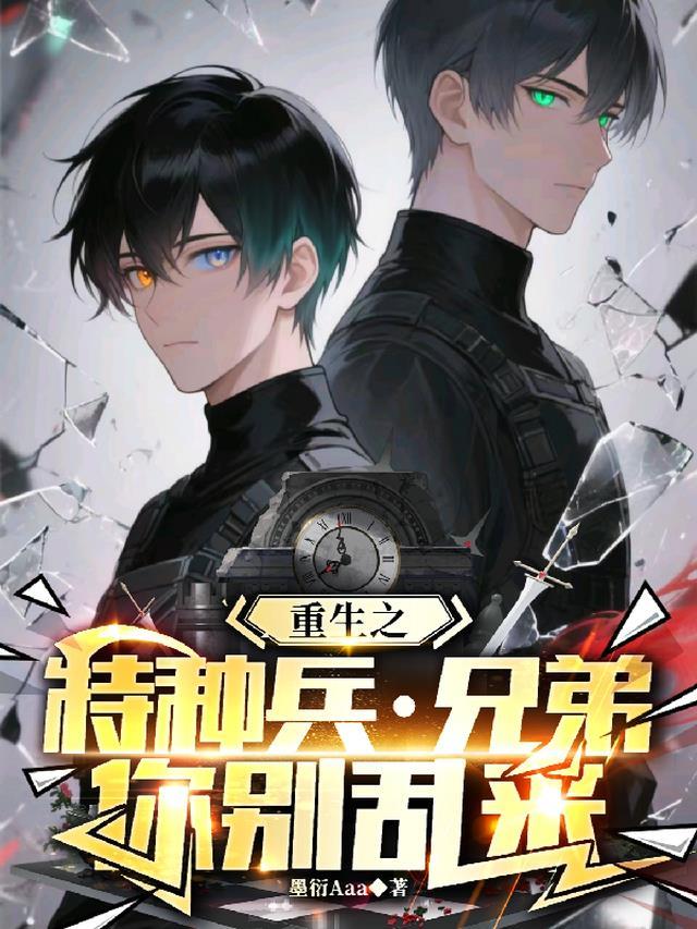 重生之特种兵兄弟你别乱来337章完整版