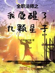 全职法师之我觉醒了九颗星子书评