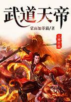 武道天帝王腾境界划分