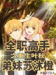 全职高手之重生为叶秋