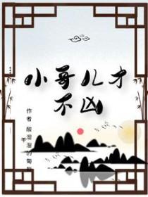 小哥儿才不凶免费阅读