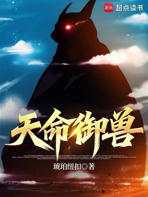 天命御兽琥珀纽扣