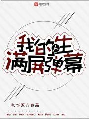 我的人生满屏弹幕百度百科