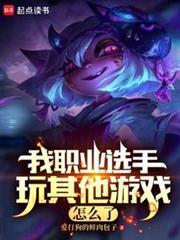 LOL我职业打其他游戏不行笔趣阁