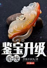 鉴宝系统类排行榜