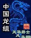 中国龙组免费阅读全文