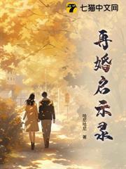 再婚日志