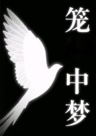 笼中梦窥
