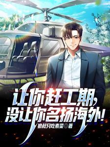 让你赶工期没让你名扬海外秦风