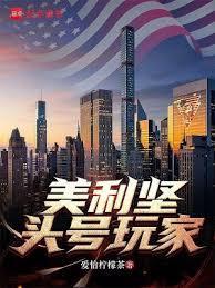 美利坚头号玩家笔趣阁免费阅读最新
