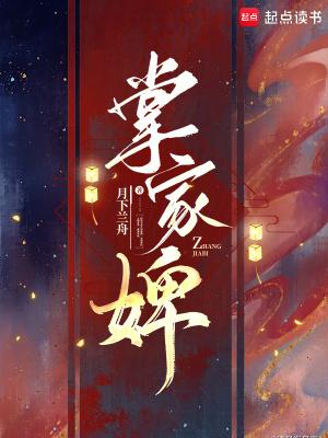 掌家婢大结局是什么