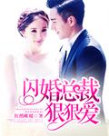 闪婚总裁狠狠爱 顾乔北