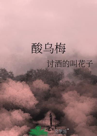 酸乌梅零食
