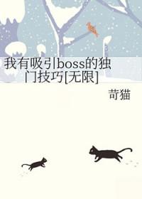 我有吸引boss的独门技巧[无限
