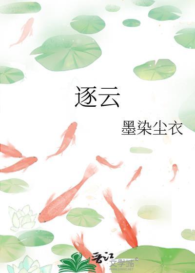 逐云之巅