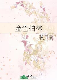 华鸿金色柏林