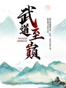 武道至巅 佚名