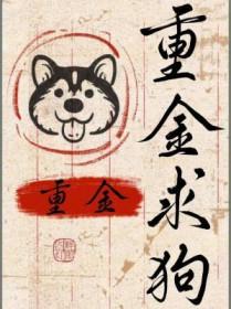 重金求狗免费阅读