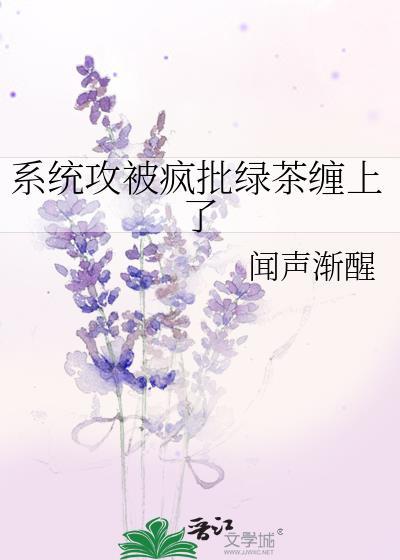 系统被我攻略了