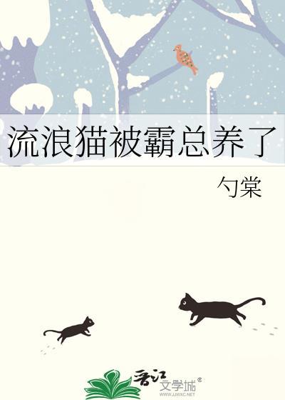 流浪猫被霸总养了怎么办