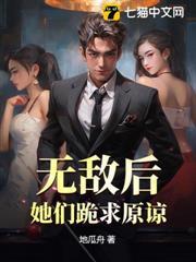 无敌后系统才来