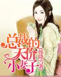 总裁的天价小妻子冷逸天