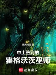 中土签到的霍格沃茨巫师笔趣阁