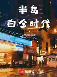 半岛白金时代防盗