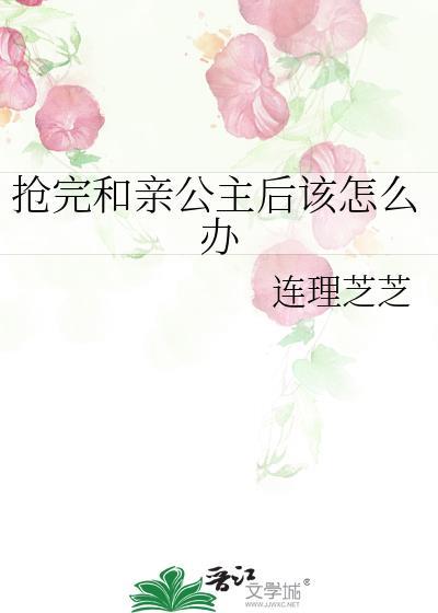 公主抢亲主要讲什么
