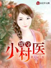 留守小村医一陈长安