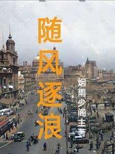 民国谍影无错