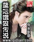 饿狼传说原版