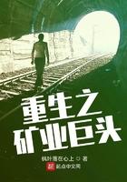 重生之矿业巨头 第361章