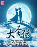 大圣传小安结局