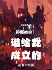 希恩斯的计划