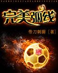 完美弧线标志